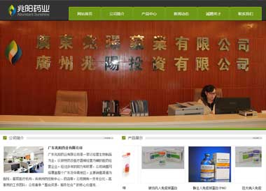 广东兆阳药业有限公司